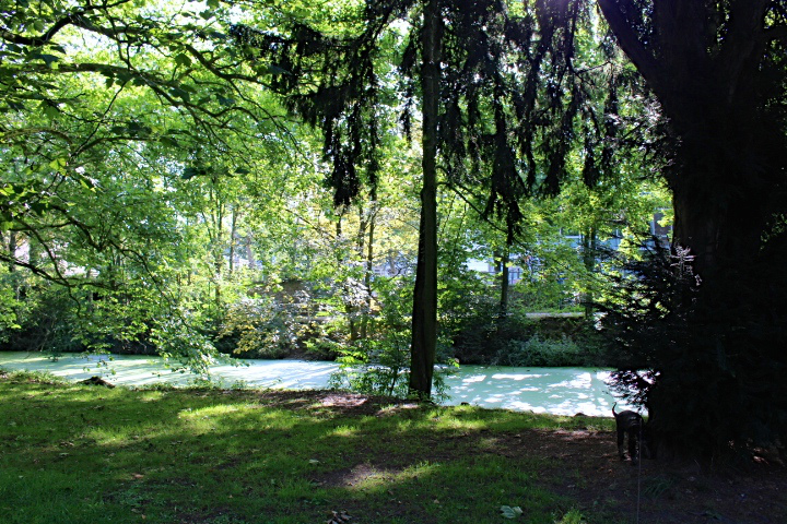 c0153740_15234376.jpg