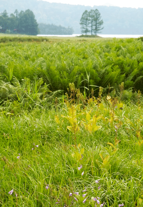 d0237340_12590434.gif