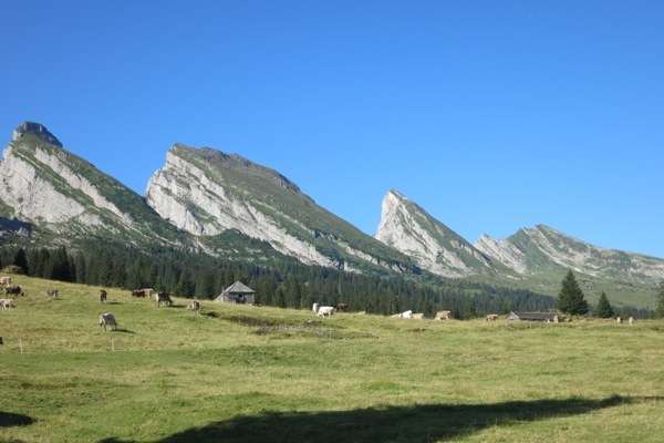 e0356046_02555137.jpg