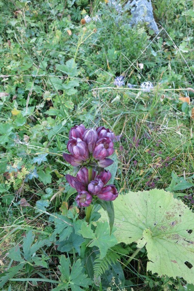 e0356046_03084648.jpg