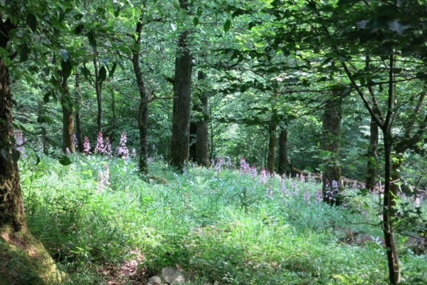 e0356046_03305431.jpg