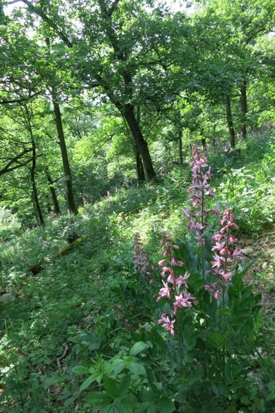 e0356046_03312700.jpg