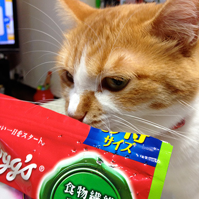 ビニプラフェチその後_a0028451_12512663.jpg