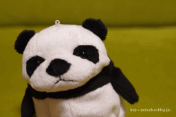 c0354758_23305467.gif