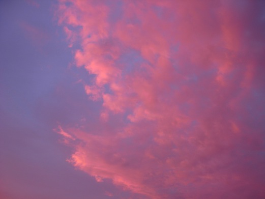 c0229584_1750166.jpg