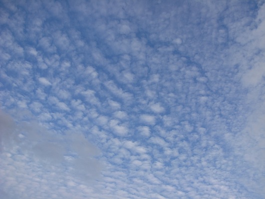 c0229584_20464676.jpg