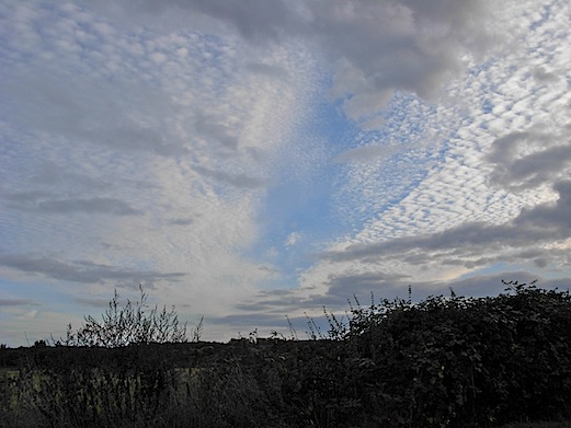 c0229584_2046819.jpg