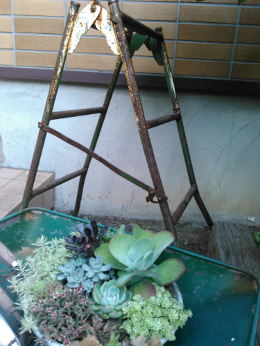 続ご主人日記_a0183790_07182934.jpg