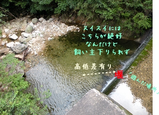 渓谷お遊び♪_f0176499_00500115.jpg