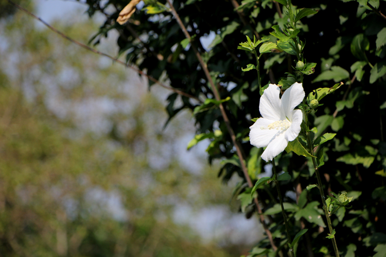 f0310010_15571076.jpg
