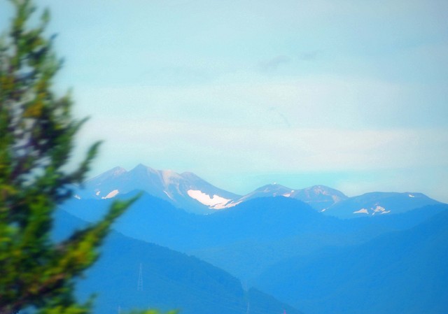 d0295818_03322.jpg