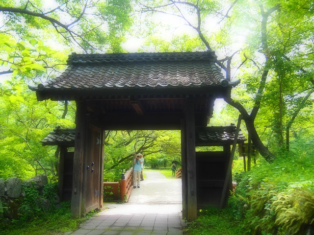 d0295818_0442093.jpg