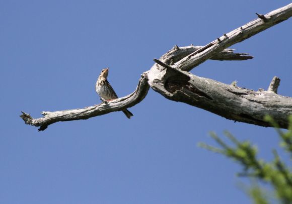 e0348420_04290666.jpg