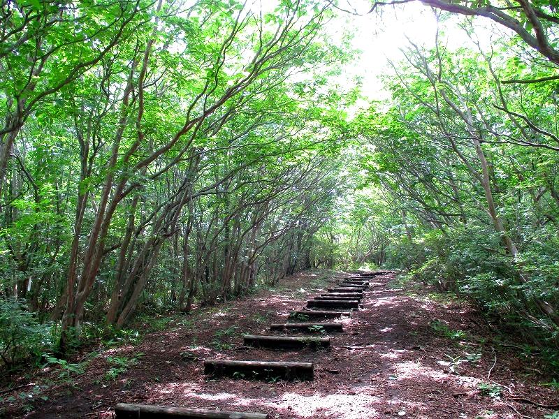 高崎市榛名湖町　榛名山　榛名神社から登る相馬山　　　　　Sōmasan in Mount Haruna_f0308721_06388.jpg