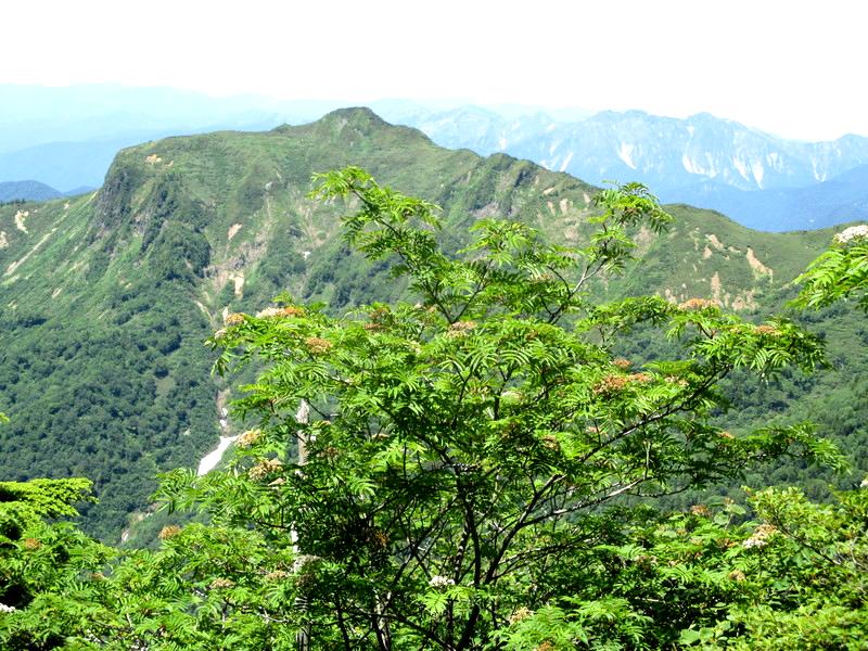 片品村　上州武尊山　オグナほたか口から登る夏の剣ヶ峰　　　　　Kengamine in Katashina, Gunma_f0308721_1944192.jpg