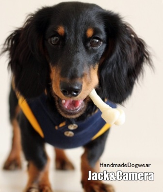 最新情報 techichiさんのとっくりパーカー : Jack＆Camera ハンドメイド犬服 犬服・アクセサリー