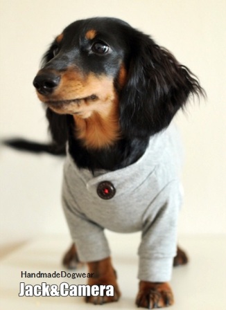 は自分にプチご褒美を techichiさんのとっくりパーカー : Jack＆Camera ハンドメイド犬服 犬服・アクセサリー