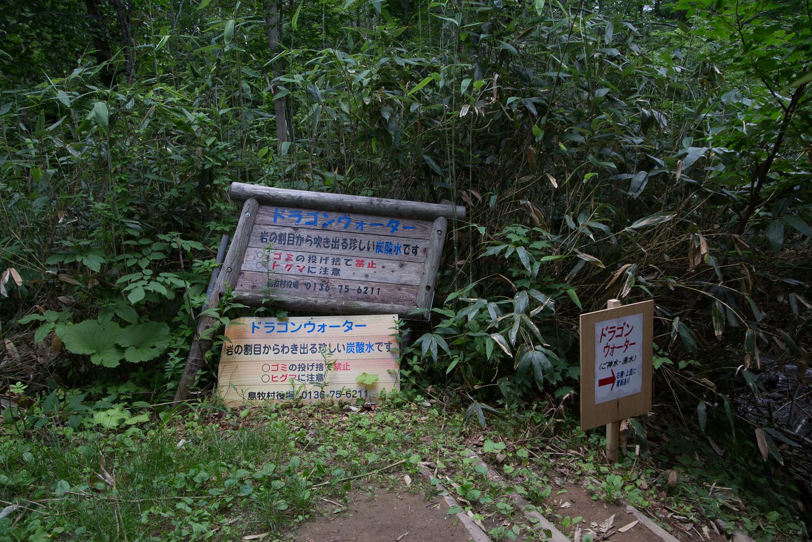 b0243727_2174394.jpg