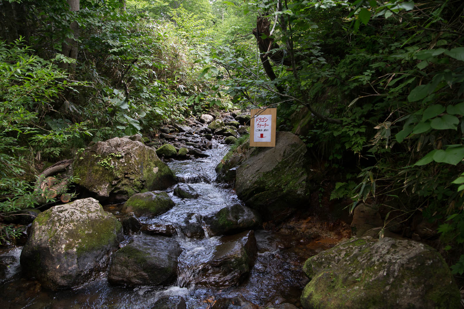 b0243727_2185782.jpg