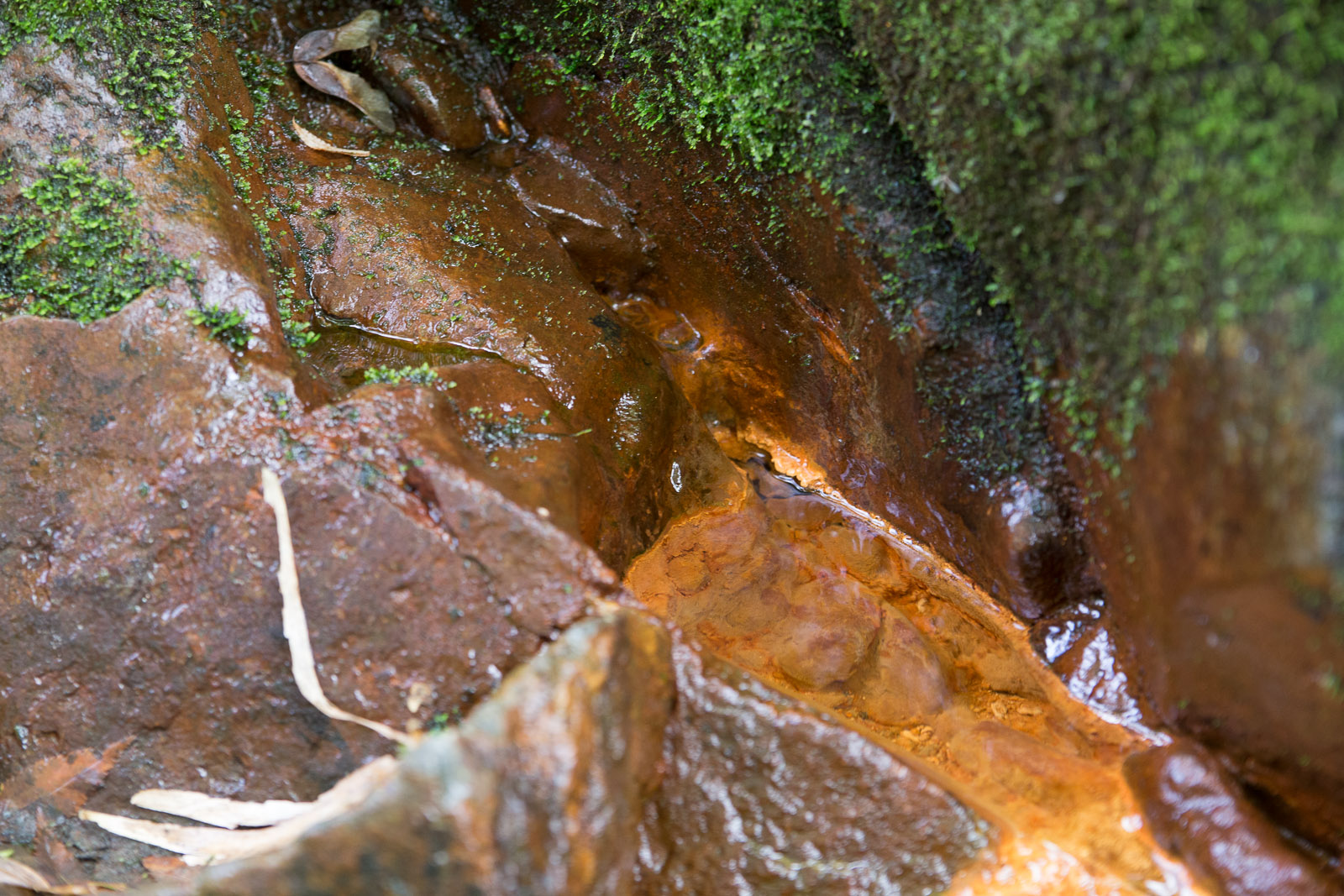 b0243727_2195548.jpg
