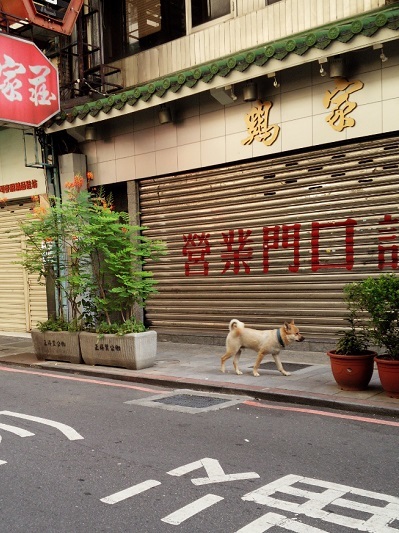 台湾旅行記　その７_a0024829_16332214.jpg