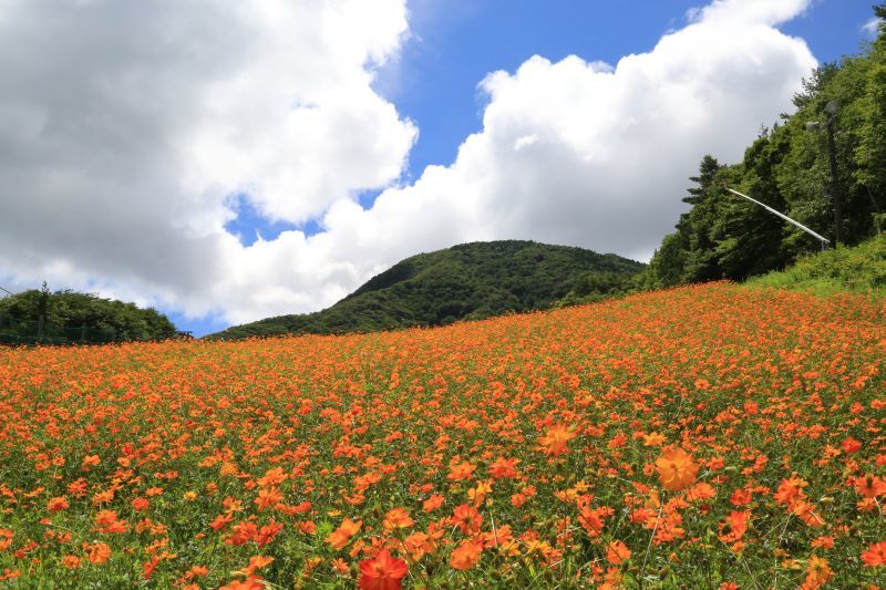 努力と忍耐_f0076731_20472757.jpg