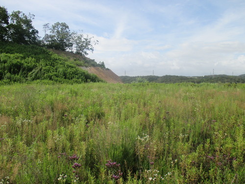 c0313938_14145352.jpg