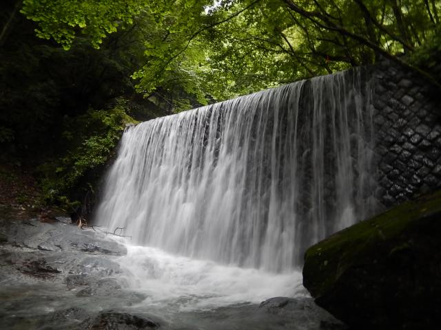 a0048040_21542646.jpg