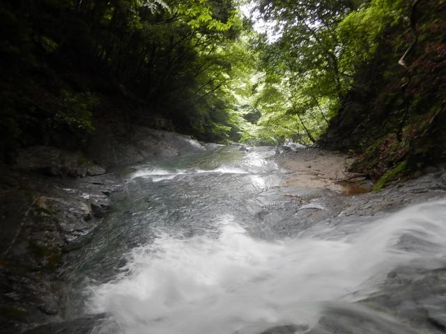 a0048040_2154544.jpg