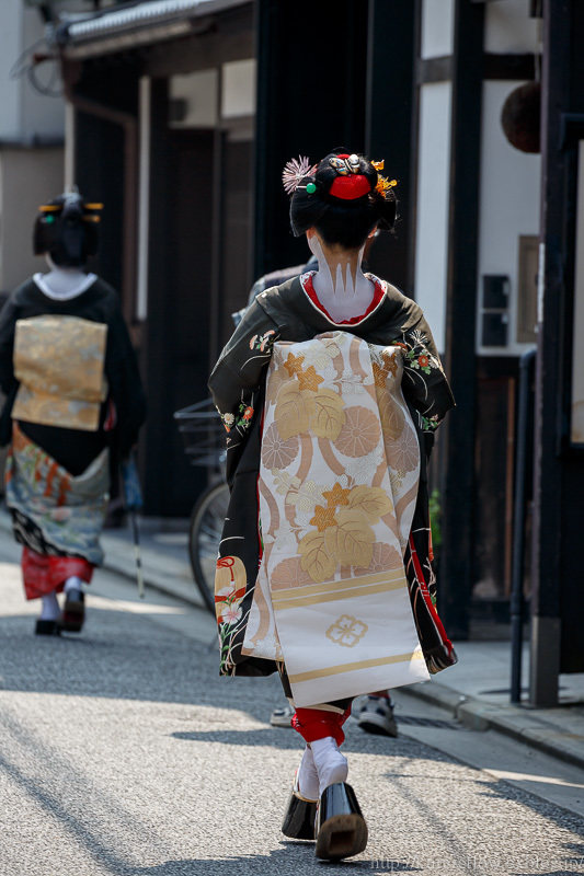 京都 祇園 八朔で芸舞妓さん ぴんぼけふぉとぶろぐ2