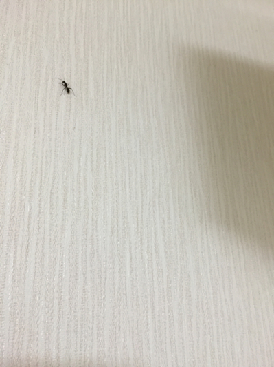 引越し！ 3日目！ 最後【Recorded】_b0136045_07504963.jpg