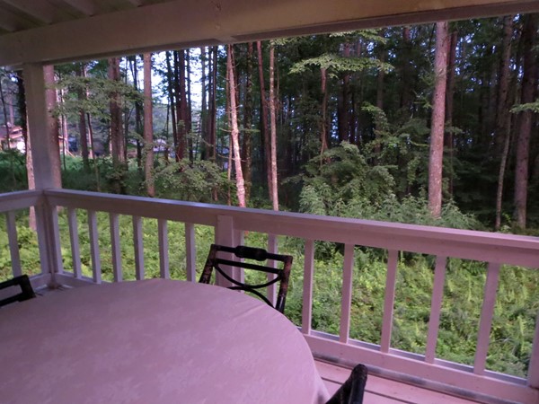 八ヶ岳の夏休み 花ホテルの大きなおうちで二人きり ネオオリエンタルリゾート八ヶ岳高原 お散歩アルバム 雨の長月 八ヶ岳の夏休み 花ホテルの大きなおうちで二人きり ネオオリエンタルリゾート八ヶ岳高原 お散歩アルバム 雨の長月