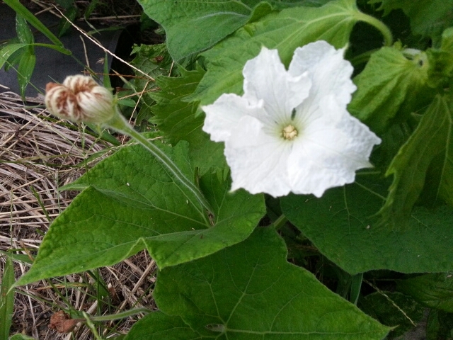 c0330749_21010256.jpg