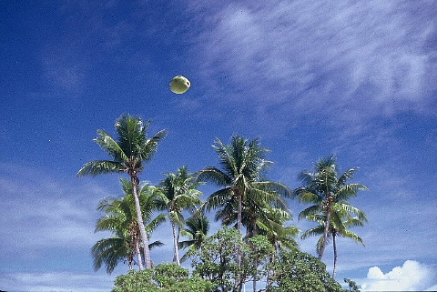 b0141773_025775.jpg