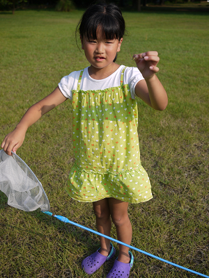 d0238083_285069.png