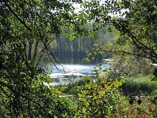 c0229584_1621543.jpg