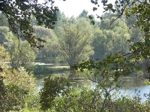 c0229584_16222875.jpg