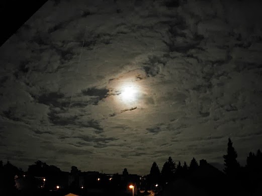 c0229584_21444536.jpg