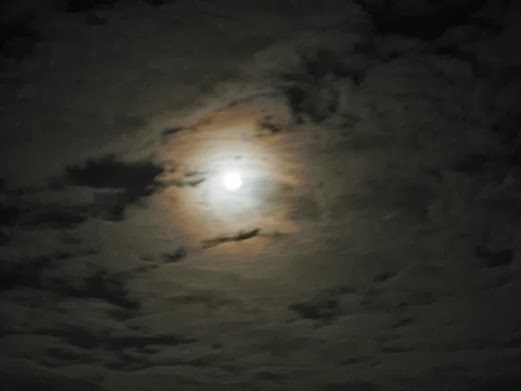 c0229584_214509.jpg