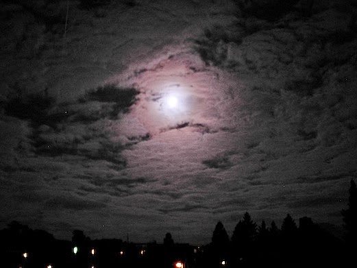 c0229584_2146533.jpg