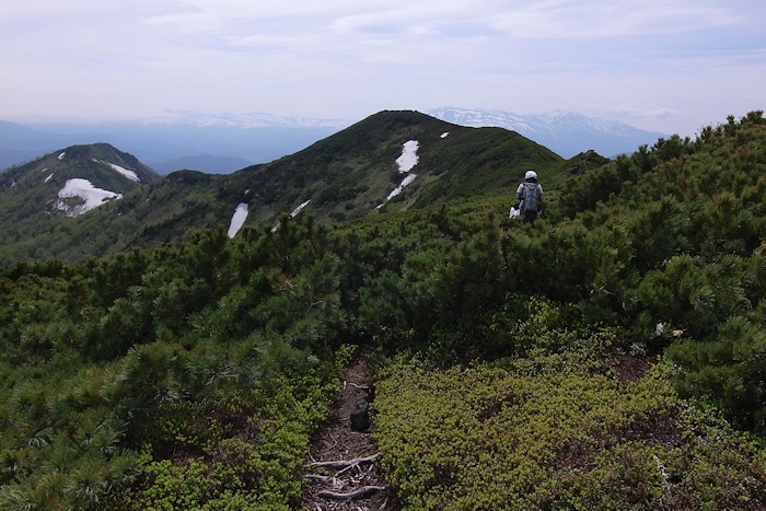 武華山　（東尾根コース～ライオン岩コース）_a0270291_0575258.jpg