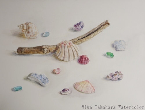 貝の絵 15 Miwa Watercolor Garden 貝の絵 15 Miwa Watercolor Garden