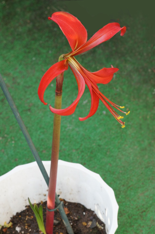 e0039703_22405440.jpg