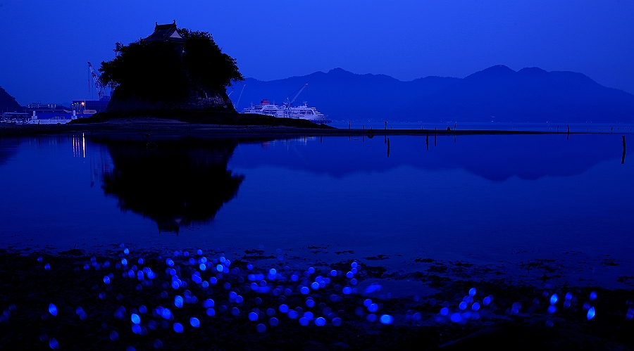 幻想的な 海ほたる 鞆の浦ロマン紀行 幻想的な 海ほたる 鞆の浦ロマン紀行