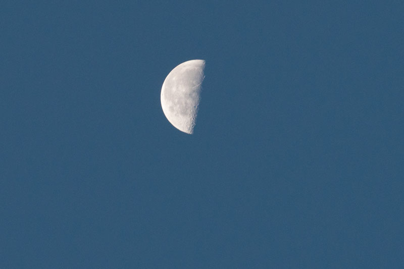 a0278914_5565131.jpg