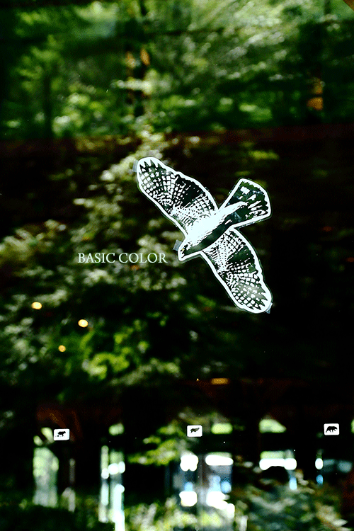 c0345215_20334992.gif
