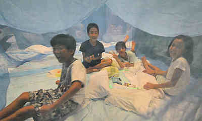 a0144016_08210213.jpg