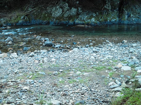 c0044819_647860.jpg