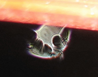 c0331825_18405103.jpg