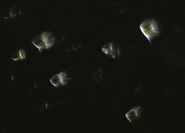 c0331825_19163987.jpg